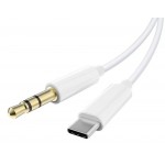 Powertech CAB-UC093 USB 2.0 Cable USB-C male - USB-C / 3.5mm Λευκό 1m 