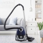 Rohnson R-139 Μπλε Ηλεκτρική Σκούπα 750W με Σακούλα 2lt 