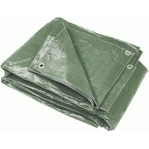 Bormann BTR2000 Πράσινος Μουσαμάς 60gr/m² 2x3m