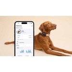 Tractive TRDOG6MT Mint Ηλεκτρικό Κολάρο Σκύλου GPS *