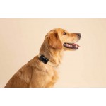 Tractive TRDOG6BK Black Ηλεκτρικό Κολάρο Σκύλου GPS *