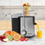 Rohnson R-438 Αποχυμωτής 600W Ασημί